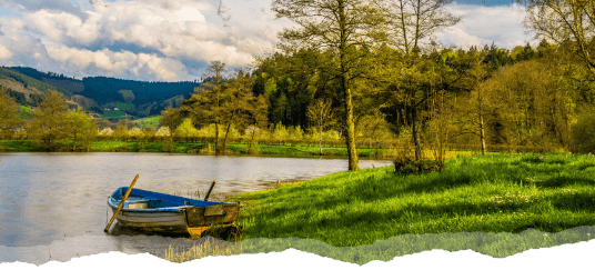 boat on a lake's shoreline surrounded by trees and grass