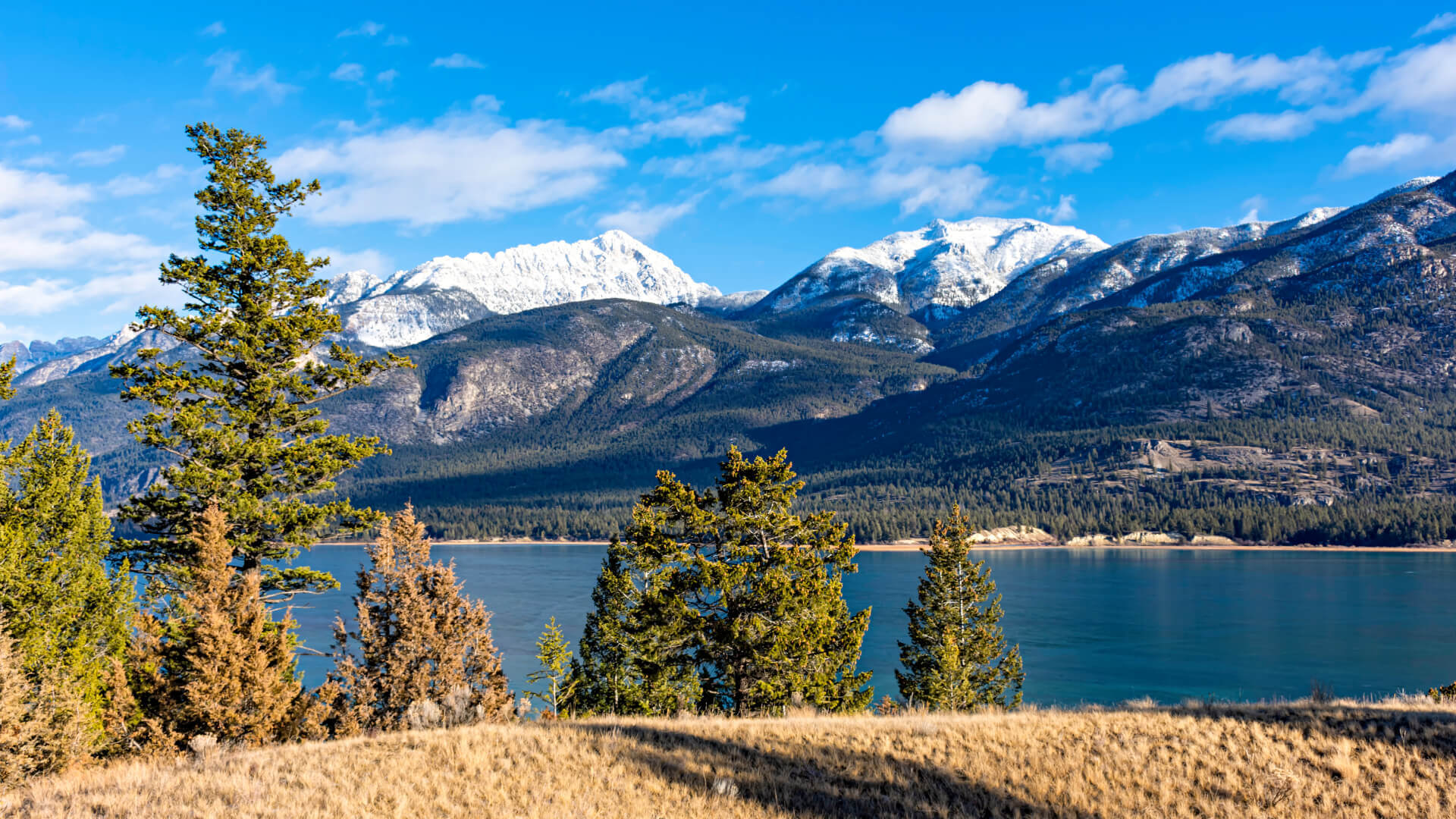 A fall landscape in Invermere, BC